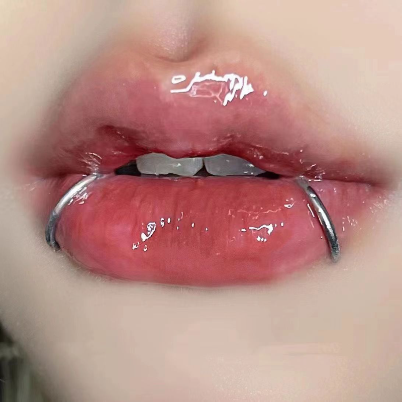 Body Jewelry Universe - 2Pieces/lot Lip Piercing Septum Ring Hinged
