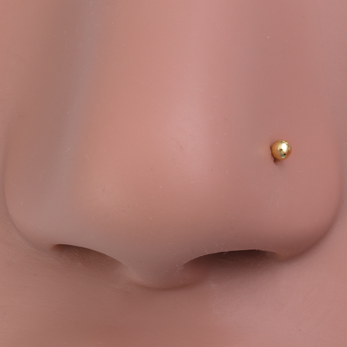 10pcs Nose Stud Rings Cartilag - огляд і ціна Nostril Screw Pin