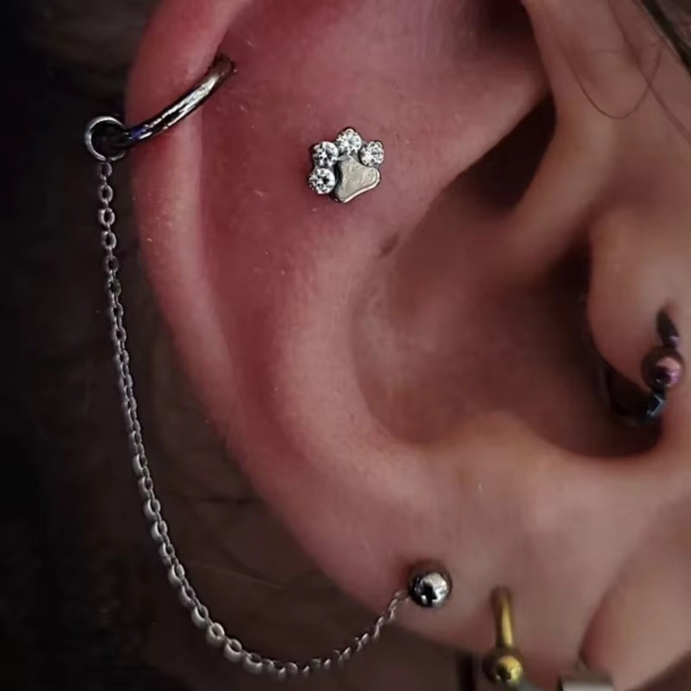 Fashion Titanium Nose Chain Th - огляд і ціна Body Jewelry Piercing