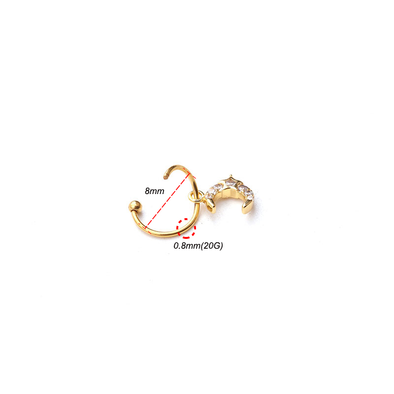 1Pc Universal ring Hoop earrin - огляд і ціна Body Jewelry Universe